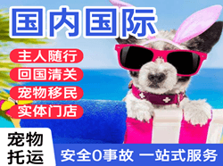 珠海机场托运国际宠物托运 【国